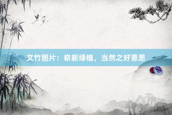 文竹图片：崭新绿植，当然之好意思