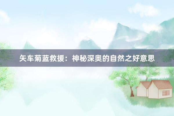 矢车菊蓝救援：神秘深奥的自然之好意思