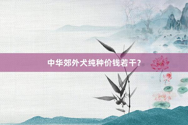 中华郊外犬纯种价钱若干？